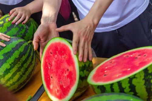 免费的超大尺度吃瓜群,揭秘娱乐圈幕后真相 第1张 免费的超大尺度吃瓜群,揭秘娱乐圈幕后真相 第1张